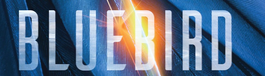 extrait de la couverture de Bluebird
